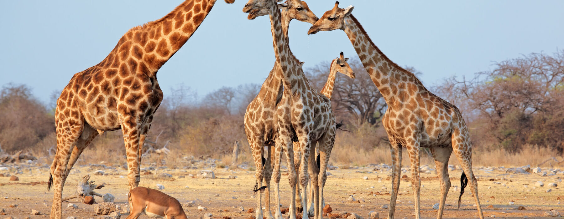 Wir denken nur an Urlaub!