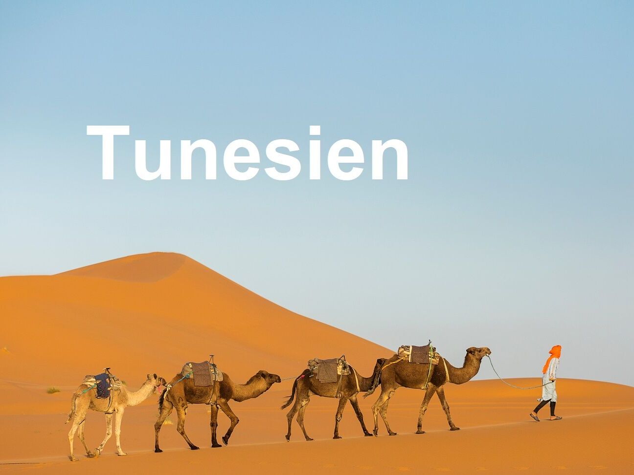 Camels caravan in the dessert of Sahara with beautiful dunes in background. Morocco
