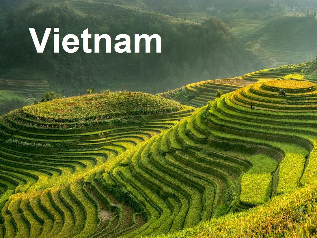 Smooth symbolize the city's Mu cang chai,Yenbai,Vietnam.